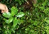  ( - BioBot10518)  @11 [ ] CreativeCommons - Attribution Non-Commercial Share-Alike (2011) Daniel H. Janzen Guanacaste Dry Forest Conservation Fund