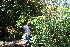  ( - BioBot10559)  @11 [ ] CreativeCommons - Attribution Non-Commercial Share-Alike (2011) Daniel H. Janzen Guanacaste Dry Forest Conservation Fund