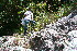  ( - BioBot10572)  @11 [ ] CreativeCommons - Attribution Non-Commercial Share-Alike (2011) Daniel H. Janzen Guanacaste Dry Forest Conservation Fund