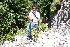  ( - BioBot10574)  @11 [ ] CreativeCommons - Attribution Non-Commercial Share-Alike (2011) Daniel H. Janzen Guanacaste Dry Forest Conservation Fund