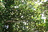 ( - BioBot10580)  @11 [ ] CreativeCommons - Attribution Non-Commercial Share-Alike (2011) Daniel H. Janzen Guanacaste Dry Forest Conservation Fund