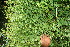 ( - BioBot10688)  @11 [ ] CreativeCommons - Attribution Non-Commercial Share-Alike (2010) Daniel H. Janzen Guanacaste Dry Forest Conservation Fund