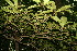  ( - BioBot10735)  @11 [ ] CreativeCommons - Attribution Non-Commercial Share-Alike (2010) Daniel H. Janzen Guanacaste Dry Forest Conservation Fund