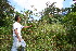  ( - BioBot10929)  @11 [ ] CreativeCommons - Attribution Non-Commercial Share-Alike (2010) Daniel H. Janzen Guanacaste Dry Forest Conservation Fund