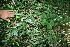  ( - BioBot10954)  @11 [ ] CreativeCommons - Attribution Non-Commercial Share-Alike (2010) Daniel H. Janzen Guanacaste Dry Forest Conservation Fund
