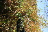  ( - BioBot10957)  @11 [ ] CreativeCommons - Attribution Non-Commercial Share-Alike (2010) Daniel H. Janzen Guanacaste Dry Forest Conservation Fund