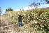  ( - BioBot10958)  @11 [ ] CreativeCommons - Attribution Non-Commercial Share-Alike (2010) Daniel H. Janzen Guanacaste Dry Forest Conservation Fund