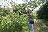  ( - BioBot10972)  @11 [ ] CreativeCommons - Attribution Non-Commercial Share-Alike (2010) Daniel H. Janzen Guanacaste Dry Forest Conservation Fund
