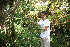 ( - BioBot10975)  @11 [ ] CreativeCommons - Attribution Non-Commercial Share-Alike (2010) Daniel H. Janzen Guanacaste Dry Forest Conservation Fund
