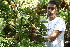  ( - BioBot10975)  @11 [ ] CreativeCommons - Attribution Non-Commercial Share-Alike (2010) Daniel H. Janzen Guanacaste Dry Forest Conservation Fund
