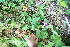  ( - BioBot10994)  @11 [ ] CreativeCommons - Attribution Non-Commercial Share-Alike (2010) Daniel H. Janzen Guanacaste Dry Forest Conservation Fund