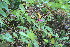  ( - BioBot10995)  @11 [ ] CreativeCommons - Attribution Non-Commercial Share-Alike (2010) Daniel H. Janzen Guanacaste Dry Forest Conservation Fund