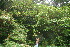  ( - BioBot11024)  @11 [ ] CreativeCommons - Attribution Non-Commercial Share-Alike (2010) Daniel H. Janzen Guanacaste Dry Forest Conservation Fund