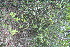  ( - BioBot11058)  @11 [ ] CreativeCommons - Attribution Non-Commercial Share-Alike (2010) Daniel H. Janzen Guanacaste Dry Forest Conservation Fund