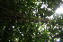  ( - BioBot11113)  @11 [ ] CreativeCommons - Attribution Non-Commercial Share-Alike (2010) Daniel H. Janzen Guanacaste Dry Forest Conservation Fund