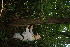  ( - BioBot11115)  @11 [ ] CreativeCommons - Attribution Non-Commercial Share-Alike (2010) Daniel H. Janzen Guanacaste Dry Forest Conservation Fund