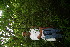  ( - BioBot11172)  @11 [ ] CreativeCommons - Attribution Non-Commercial Share-Alike (2010) Daniel H. Janzen Guanacaste Dry Forest Conservation Fund