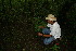  ( - BioBot11173)  @11 [ ] CreativeCommons - Attribution Non-Commercial Share-Alike (2010) Daniel H. Janzen Guanacaste Dry Forest Conservation Fund