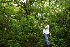  ( - BioBot11174)  @11 [ ] CreativeCommons - Attribution Non-Commercial Share-Alike (2010) Daniel H. Janzen Guanacaste Dry Forest Conservation Fund