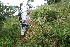  ( - BioBot11228)  @11 [ ] CreativeCommons - Attribution Non-Commercial Share-Alike (2010) Daniel H. Janzen Guanacaste Dry Forest Conservation Fund