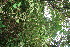 ( - BioBot11424)  @11 [ ] CreativeCommons - Attribution Non-Commercial Share-Alike (2010) Daniel H. Janzen Guanacaste Dry Forest Conservation Fund