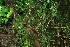  ( - BioBot11529)  @11 [ ] CreativeCommons - Attribution Non-Commercial Share-Alike (2010) Daniel H. Janzen Guanacaste Dry Forest Conservation Fund