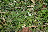  ( - BioBot11577)  @11 [ ] CreativeCommons - Attribution Non-Commercial Share-Alike (2010) Daniel H. Janzen Guanacaste Dry Forest Conservation Fund