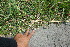  ( - BioBot11578)  @11 [ ] CreativeCommons - Attribution Non-Commercial Share-Alike (2010) Daniel H. Janzen Guanacaste Dry Forest Conservation Fund