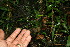  ( - BioBot11587)  @11 [ ] CreativeCommons - Attribution Non-Commercial Share-Alike (2010) Daniel H. Janzen Guanacaste Dry Forest Conservation Fund