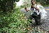  ( - BioBot11633)  @11 [ ] CreativeCommons - Attribution Non-Commercial Share-Alike (2010) Daniel H. Janzen Guanacaste Dry Forest Conservation Fund