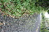  ( - BioBot11633)  @11 [ ] CreativeCommons - Attribution Non-Commercial Share-Alike (2010) Daniel H. Janzen Guanacaste Dry Forest Conservation Fund