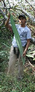  ( - BioBot11786)  @11 [ ] CreativeCommons - Attribution Non-Commercial Share-Alike (2010) Daniel H. Janzen Guanacaste Dry Forest Conservation Fund