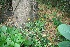 ( - BioBot11820)  @11 [ ] CreativeCommons - Attribution Non-Commercial Share-Alike (2010) Daniel H. Janzen Guanacaste Dry Forest Conservation Fund