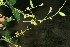  ( - BioBot11832)  @11 [ ] CreativeCommons - Attribution Non-Commercial Share-Alike (2010) Daniel H. Janzen Guanacaste Dry Forest Conservation Fund