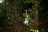  (Casearia A.guadamuz362 - BioBot12459)  @11 [ ] CreativeCommons - Attribution Non-Commercial Share-Alike (2010) Daniel H. Janzen Guanacaste Dry Forest Conservation Fund