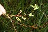  ( - BioBot12518)  @11 [ ] CreativeCommons - Attribution Non-Commercial Share-Alike (2010) Daniel H. Janzen Guanacaste Dry Forest Conservation Fund
