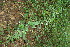  ( - BioBot12624)  @11 [ ] CreativeCommons - Attribution Non-Commercial Share-Alike (2010) Daniel H. Janzen Guanacaste Dry Forest Conservation Fund