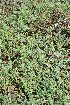  ( - BioBot12835)  @11 [ ] CreativeCommons - Attribution Non-Commercial Share-Alike (2010) Daniel H. Janzen Guanacaste Dry Forest Conservation Fund