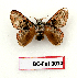  ( - BC-Fel0010)  @11 [ ] Unspecified (default): All Rights Reserved  Unspecified Unspecified