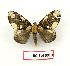  ( - BC-Fel0019)  @11 [ ] Unspecified (default): All Rights Reserved  Unspecified Unspecified