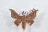  ( - Bc-Her5044)  @12 [ ] Unspecified (default): All Rights Reserved  Unspecified Unspecified