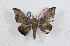  ( - Bc-Her5050)  @11 [ ] Unspecified (default): All Rights Reserved  Unspecified Unspecified