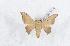  ( - Bc-Her5096)  @11 [ ] Unspecified (default): All Rights Reserved  Unspecified Unspecified