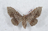  ( - Bc-Her5104)  @13 [ ] Unspecified (default): All Rights Reserved  Unspecified Unspecified