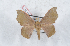  ( - Bc-Her5150)  @11 [ ] Unspecified (default): All Rights Reserved  Unspecified Unspecified
