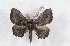  ( - Bc-Her5226)  @11 [ ] Unspecified (default): All Rights Reserved  Unspecified Unspecified