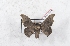  ( - Bc-Her5231)  @11 [ ] Unspecified (default): All Rights Reserved  Unspecified Unspecified