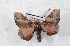  ( - Bc-Her5268)  @11 [ ] Unspecified (default): All Rights Reserved  Unspecified Unspecified
