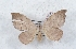  ( - Bc-Her5270)  @11 [ ] Unspecified (default): All Rights Reserved  Unspecified Unspecified