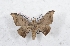  ( - Bc-Her5379)  @11 [ ] Unspecified (default): All Rights Reserved  Unspecified Unspecified
